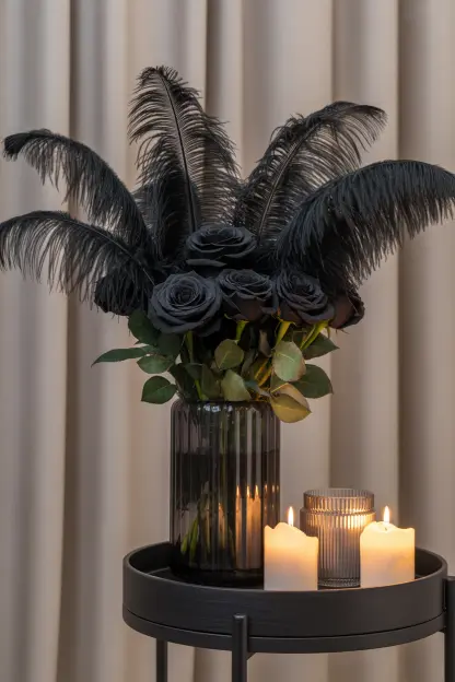 Dark Feather Decor