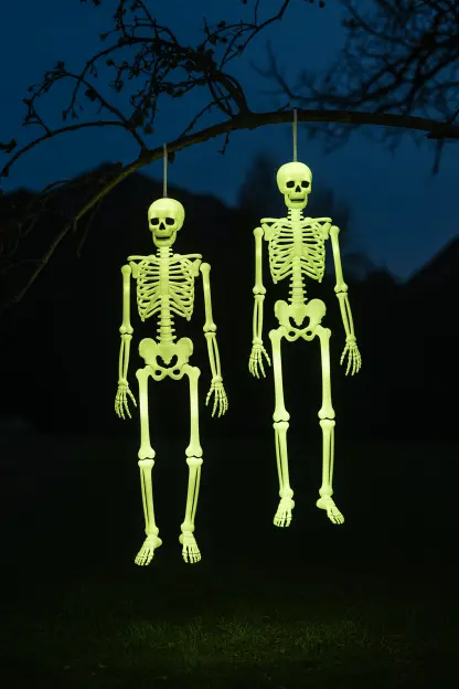 Glow-in-the-Dark Skeletons