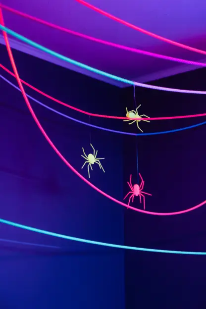 Neon Spider Webs